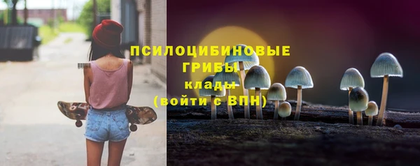 прущие крисы Балахна