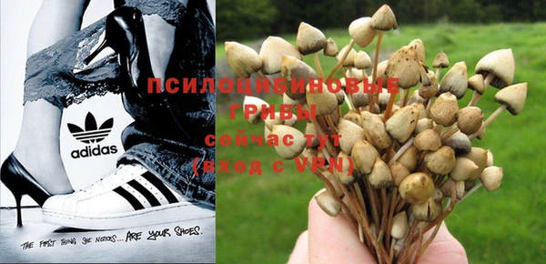 дурь Балабаново
