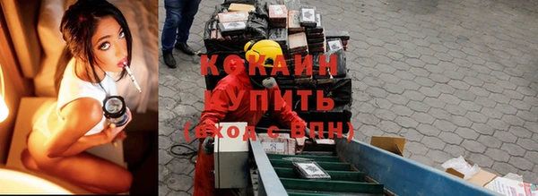 прущие крисы Балахна